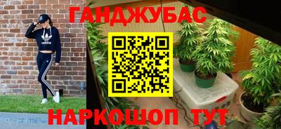 прущие крисы Гатчина