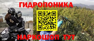 прущие крисы Гатчина