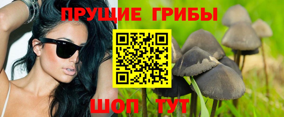 Евпатория  Псилоцибиновые грибы мухоморы  закладка  Вход с VPN 