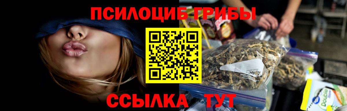 Галлюциногенные грибы мицелий Евпатория